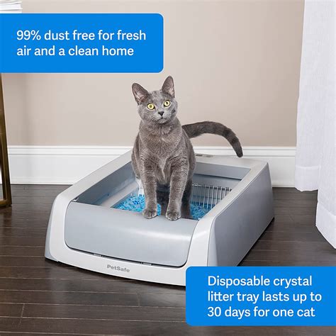 pet safe electric litter box|petsafe disposable cat litter box.